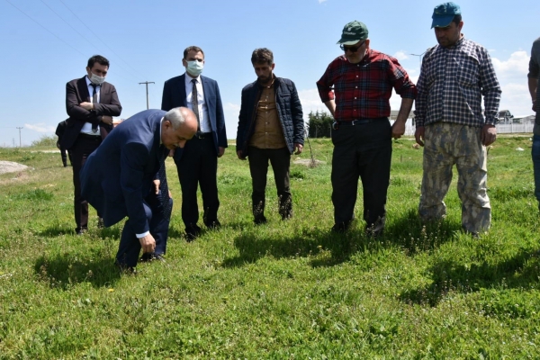 Yenişehir Belediyesi'nden çiftçilere destek