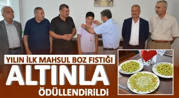 Yılın ilk mahsul boz fıstığı altınla ödüllendirildi