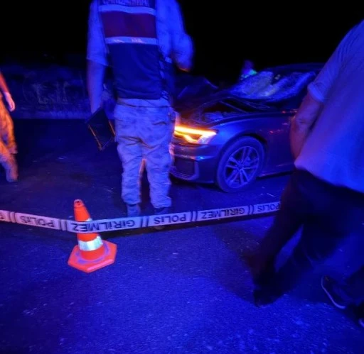 Siirt'te Yolun Karşısına Geçerken Can Verdiler